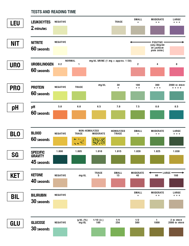 Urine Sample Colour Chart