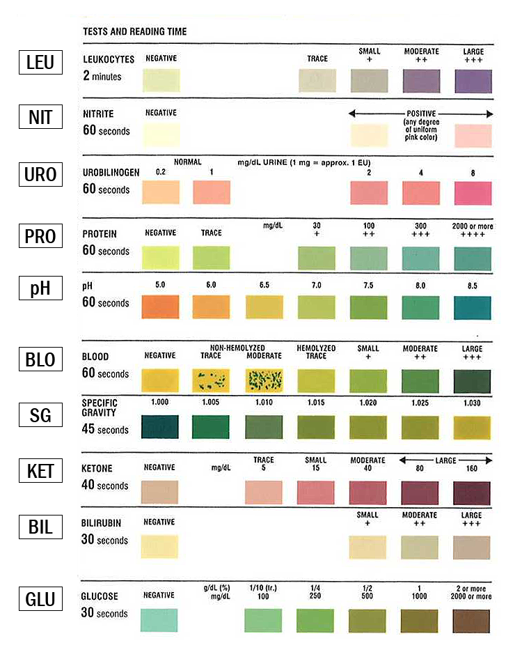 Urinalysis Test Strip Color Chart