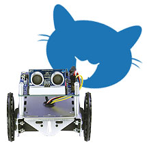 KittyBot and Polite ActivityBot