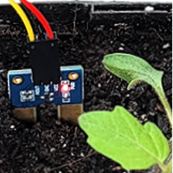 Sensors with the micro:bit and Python